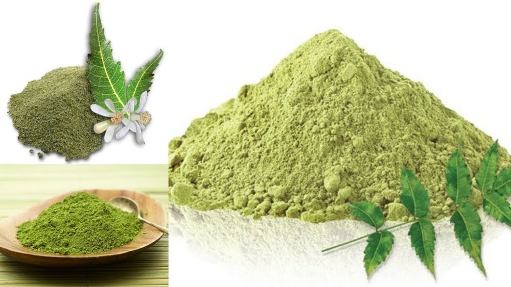 Many Products Containing Neem Extracts Are Used In Agriculture, Cosmetics, And Medicine - MY SITE